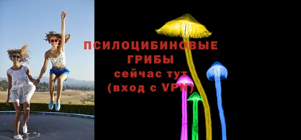 спиды Горняк