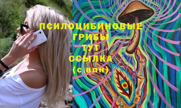 спиды Горняк