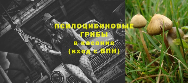 спиды Горняк
