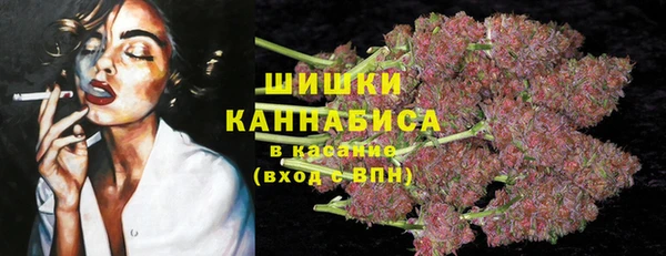 спиды Горняк