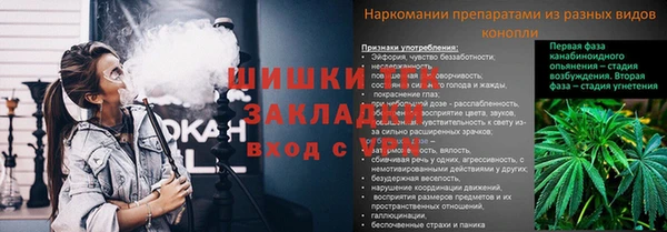 спиды Горняк