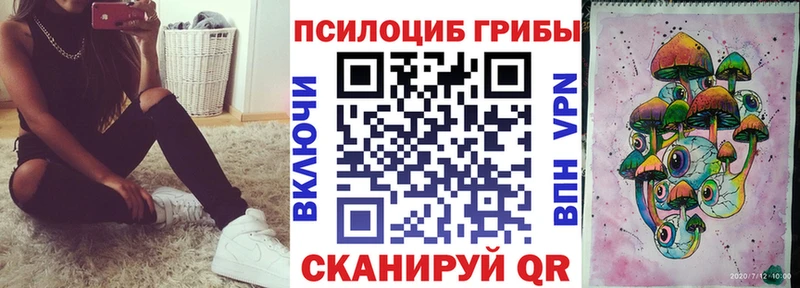 Псилоцибиновые грибы мицелий  blacksprut зеркало  Дивногорск 